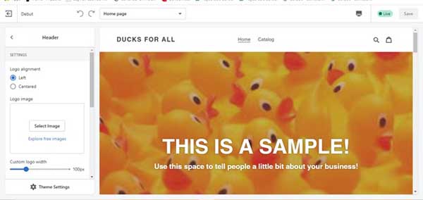 How to make a Shopify website.