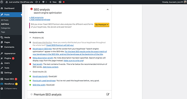 WordPress SEO example.