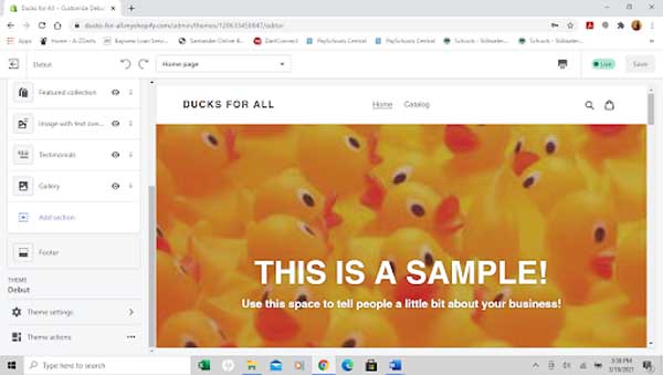 How to make a Shopify website.