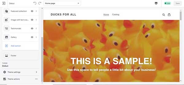 How to make a Shopify website.