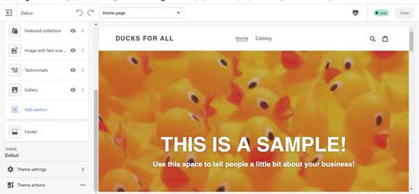 How to make a Shopify website.