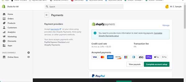 How to make a Shopify website.