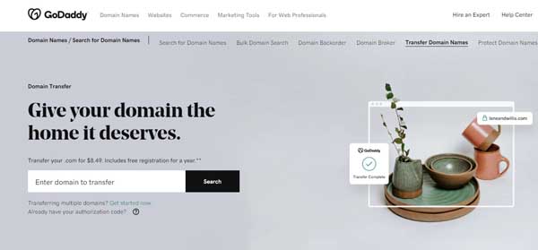 How to Transfer Your Domain to GoDaddy