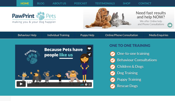 WordPress website example.