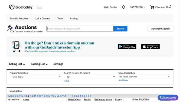 How to use GoDaddy Auctions.