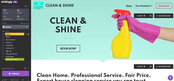 Review of Strikingly website builder.