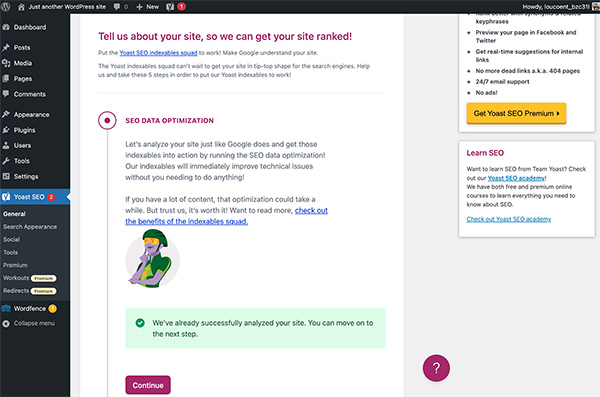 WordPress SEO example.