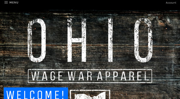 WordPress website example.