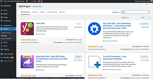 WordPress SEO example.