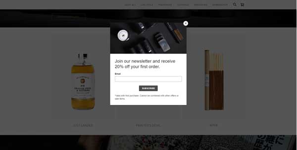 Square Website Examples