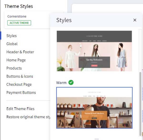 BigCommerce Website Builder Review.