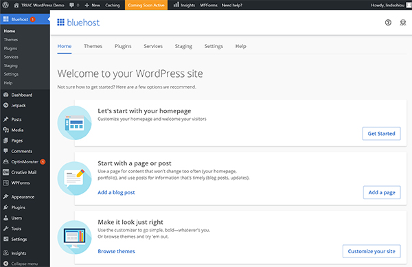 WordPress with Bluehost editing dashboard.