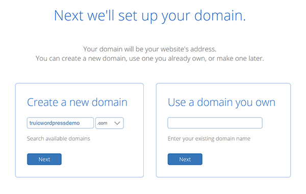 WordPress domain set up screen.