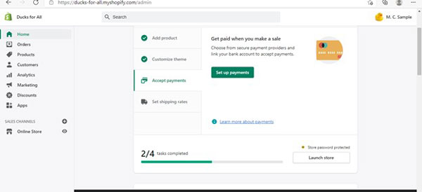 Shopify connect payment options