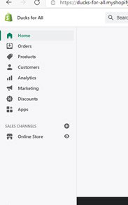 Additional Shopify features to the left of the dashboard