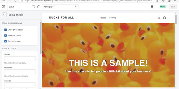 Shopify homepage preview and social media sharing options