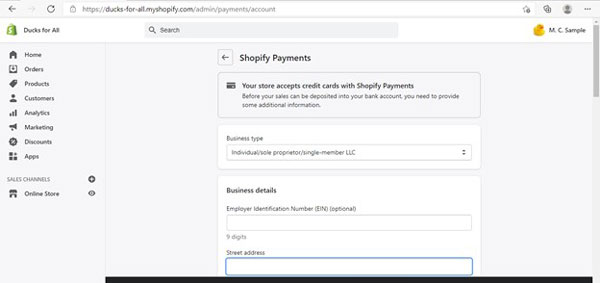 Shopify payment details