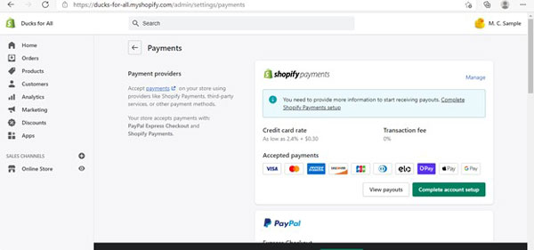 Shopify payments screen