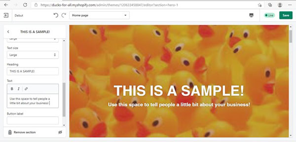 Shopify sample banner image