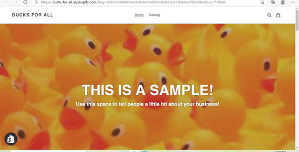 Shopify sample home page