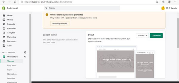Options to make your store password protected