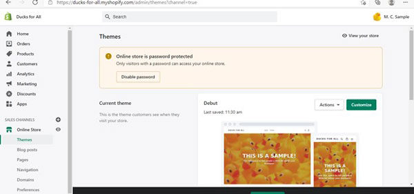 Shopify store theme options