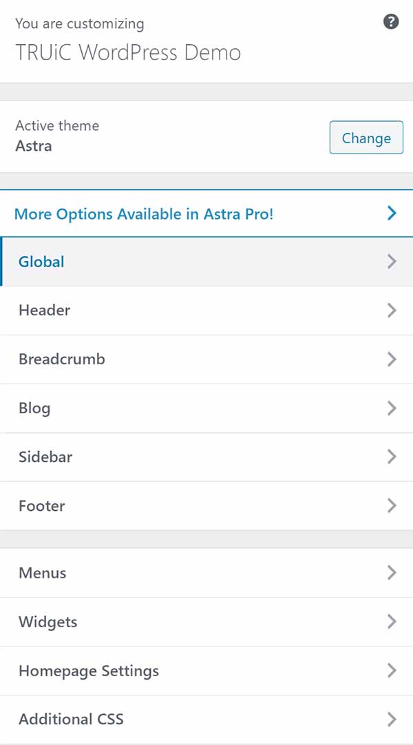 WordPress page customization sidebar with Astra theme.
