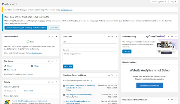 WordPress dashboard window.