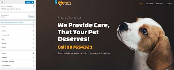 WordPress page demo.