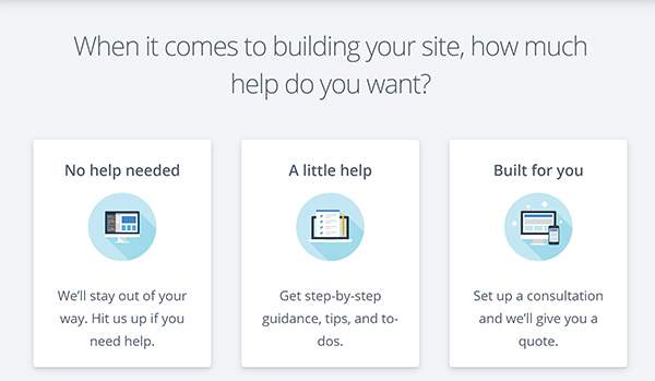 WordPress website building help options.