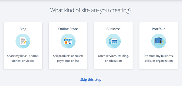 WordPress website type selection.