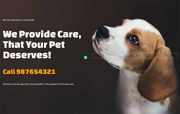 WordPress website theme text field example.
