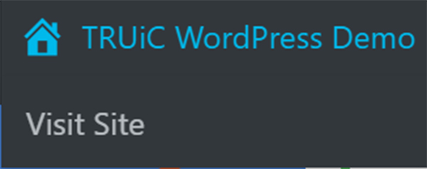 WordPress demo visit site button.