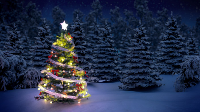A fully decorated tree surrounded by other trees