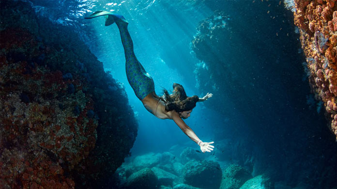 A mermaid diving underwater