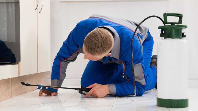 An exterminator spraying for bugs