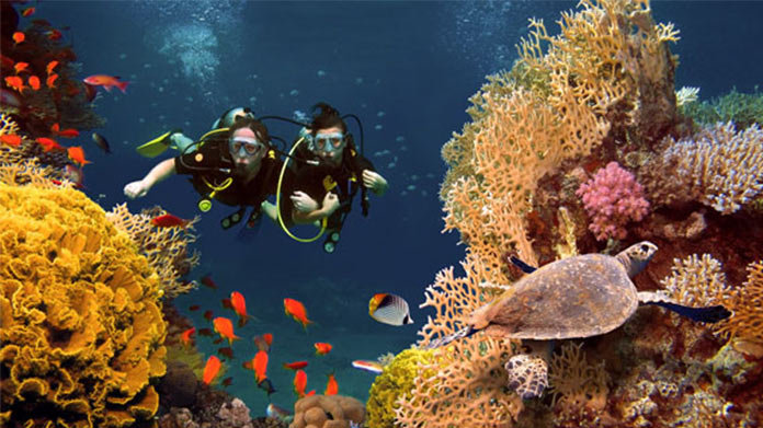 Scuba divers at a reef