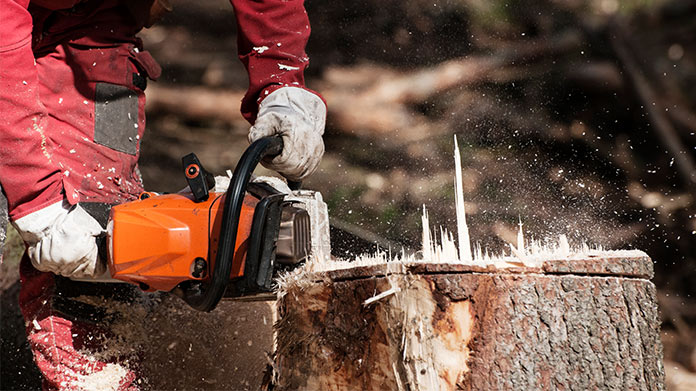 A person using a chainsaw on a tree stump