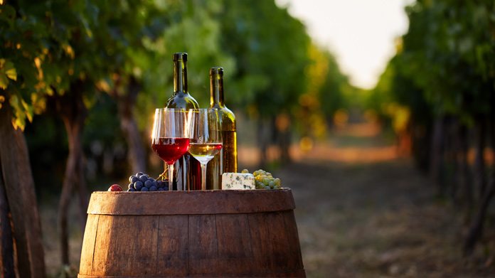 Bottles and glasses of wine on a barrel in a vineyard