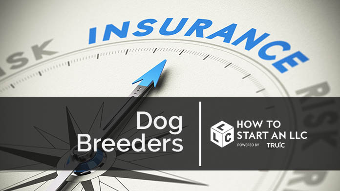 Compass needle pointing towards blue insurance logo