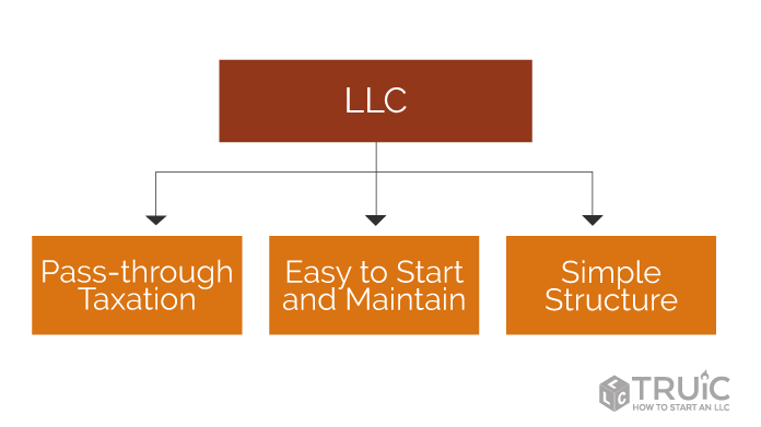 flowchart showing the attributes of an L L C