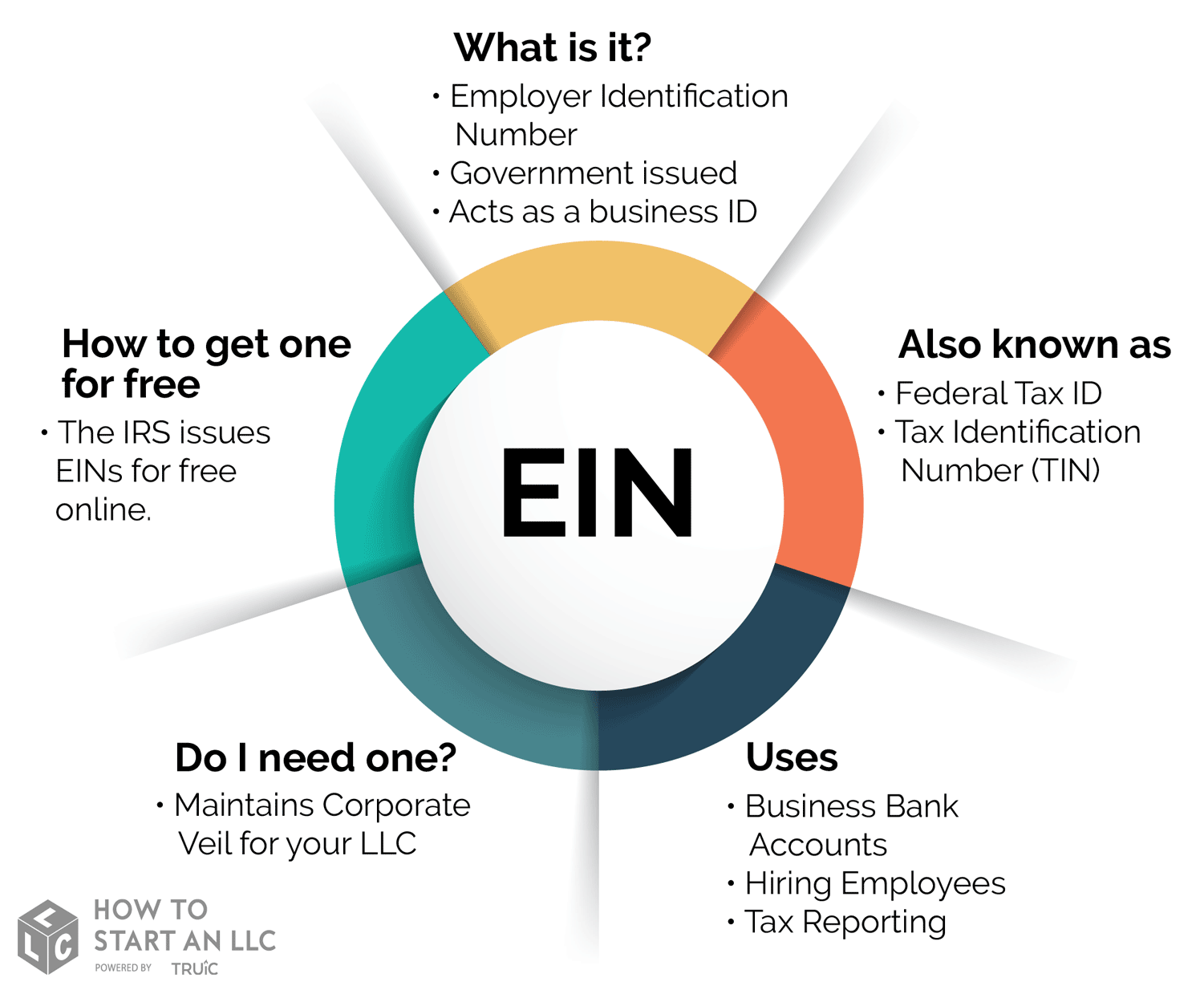EIN Circle Graph