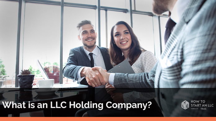 What is an LLC Holding Company?