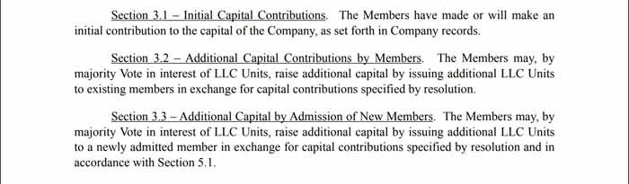 Article 3 of a multi-member LLC operating agreement.