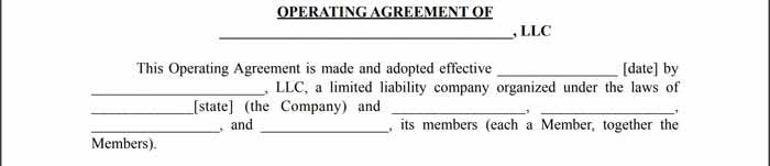 Introduction section of a multi-member LLC operating agreement.