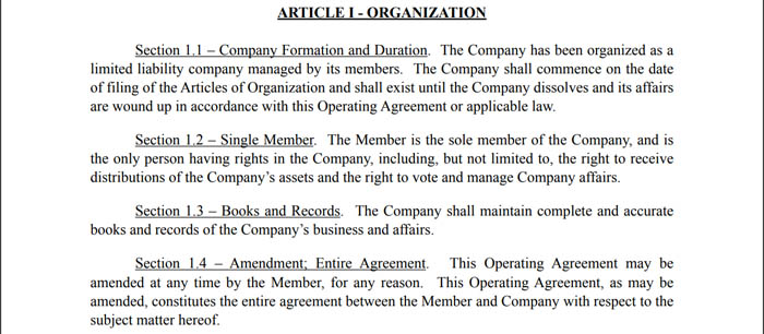 Article 1 of a single-member LLC operating agreement.