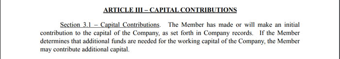 Article 3 of a single-member LLC operating agreement.