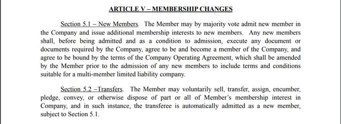 Article 4 of a single-member LLC operating agreement.