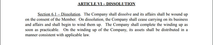 Article 6 of a single-member LLC operating agreement.