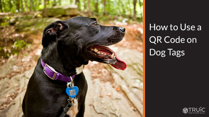Learn how to use QR Codes for dog tags.